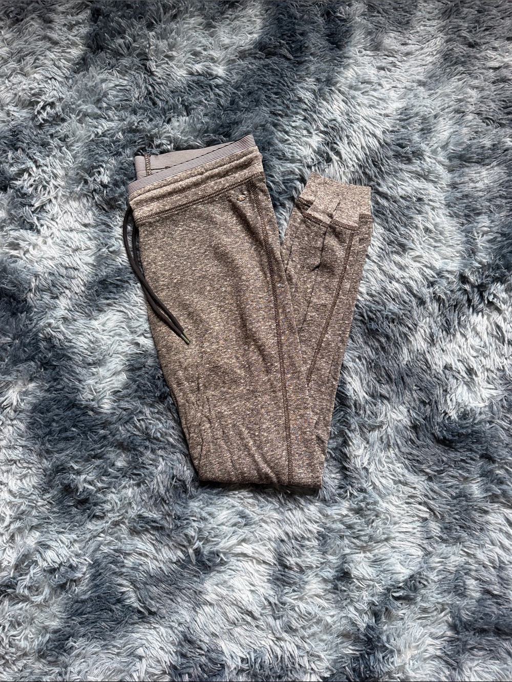 Cozy Heathered Joggers in Grey
